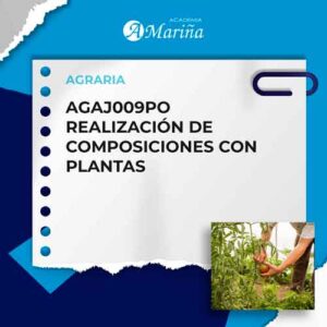 AGAJ009PO REALIZACIÓN DE COMPOSICIONES CON PLANTAS